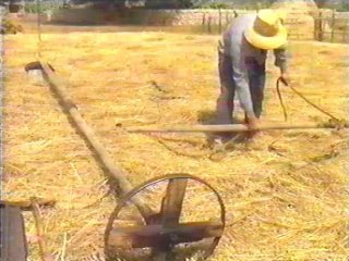 CAMPO (96)  LABRANZA